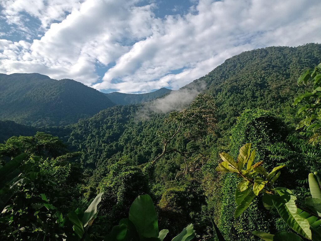 Teyuna o Ciudad Perdida, anche conosciuta come la rotta di trekking della Ciudad Perdida in Colombia, è stata scoperta nel 1976 da archeologi dell'Istituto Colombiano di Antropologia. Fu quasi completamente restaurata tra il 1976 e il 1982. Il sito, considerato il centro spirituale più importante delle tribù indigene della zona, può essere visitato attualmente attraverso la rotta di trekking della Ciudad Perdida. La rotta di trekking della Ciudad Perdida, anche conosciuta come il trek di Ciudad Perdida, è un tour guidato operato da TEYUNA TOURS, un'agenzia di viaggi con sede a Santa Marta, Colombia. Il trek richiede tra i 4 e i 6 giorni per essere completato e comporta camminare attraverso la foresta tropicale della Sierra Nevada di Santa Marta, attraversare fiumi, salire e scendere colline, ed esplorare rovine archeologiche. Il trek di Ciudad Perdida è gestito e regolato dall'Istituto Colombiano di Antropologia e Storia (ICANH), poiché si trova all'interno del Parco Archeologico Ciudad Perdida-Teyuna, un parco naturale nazionale che si sovrappone a una riserva indigena abitata da comunità indigene locali. Per arrivare a Ciudad Perdida, i visitatori devono fare contributi sia alle comunità agricole sia a quelle indigene della regione come parte del trek. Il trek di Ciudad Perdida ha un costo di $1.750.000 COP per il trek di 4 giorni e $2.050.000 COP per il trek di 5 giorni a persona nel 2023. Il costo include trasporto, servizio di guida, alloggio, cibo, tariffe di ingresso, contributo alle comunità locali e assicurazione di viaggio. Il trek di Ciudad Perdida è un'avventura impegnativa, che implica lunghe camminate in una foresta tropicale con alte temperature, umidità e zanzare. Tuttavia, il trek offre viste mozzafiato, esperienze culturali uniche con le comunità indigene locali e l'opportunità di esplorare le antiche rovine di Ciudad Perdida. In conclusione, se stai cercando un'avventura fuori dal comune in Colombia, il trek di Ciudad Perdida, anche conosciuto come trek di Teyuna, è una destinazione da non perdere. Gestito dall'Istituto Colombiano di Antropologia e Storia, questo tour guidato offre un'opportunità unica per esplorare le antiche rovine di Teyuna, anche conosciuta come Ciudad Perdida, sostenendo allo stesso tempo le comunità locali e vivendo la bellezza naturale della Sierra Nevada di Santa Marta. Prenota il tuo trek con TEYUNA TOURS e intraprendi un viaggio indimenticabile nel cuore della giungla colombiana!